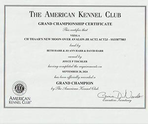 kade's grand champion certificate