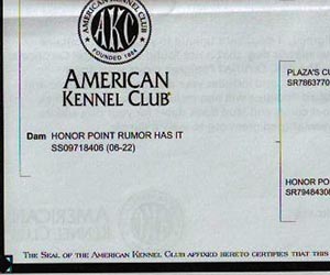 rumor's registration